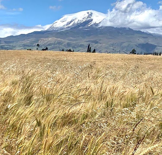 Opiniones de Discovering Americas en Quito - Agencia de viajes