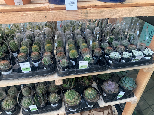 Florist «James Saunoris & Sons», reviews and photos, 6000 W 111th St, Chicago Ridge, IL 60415, USA