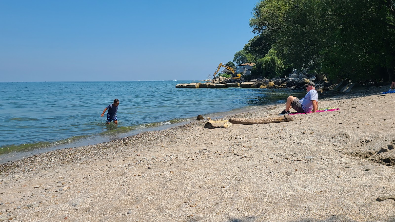 Lakewood Beach'in fotoğrafı vahşi alan