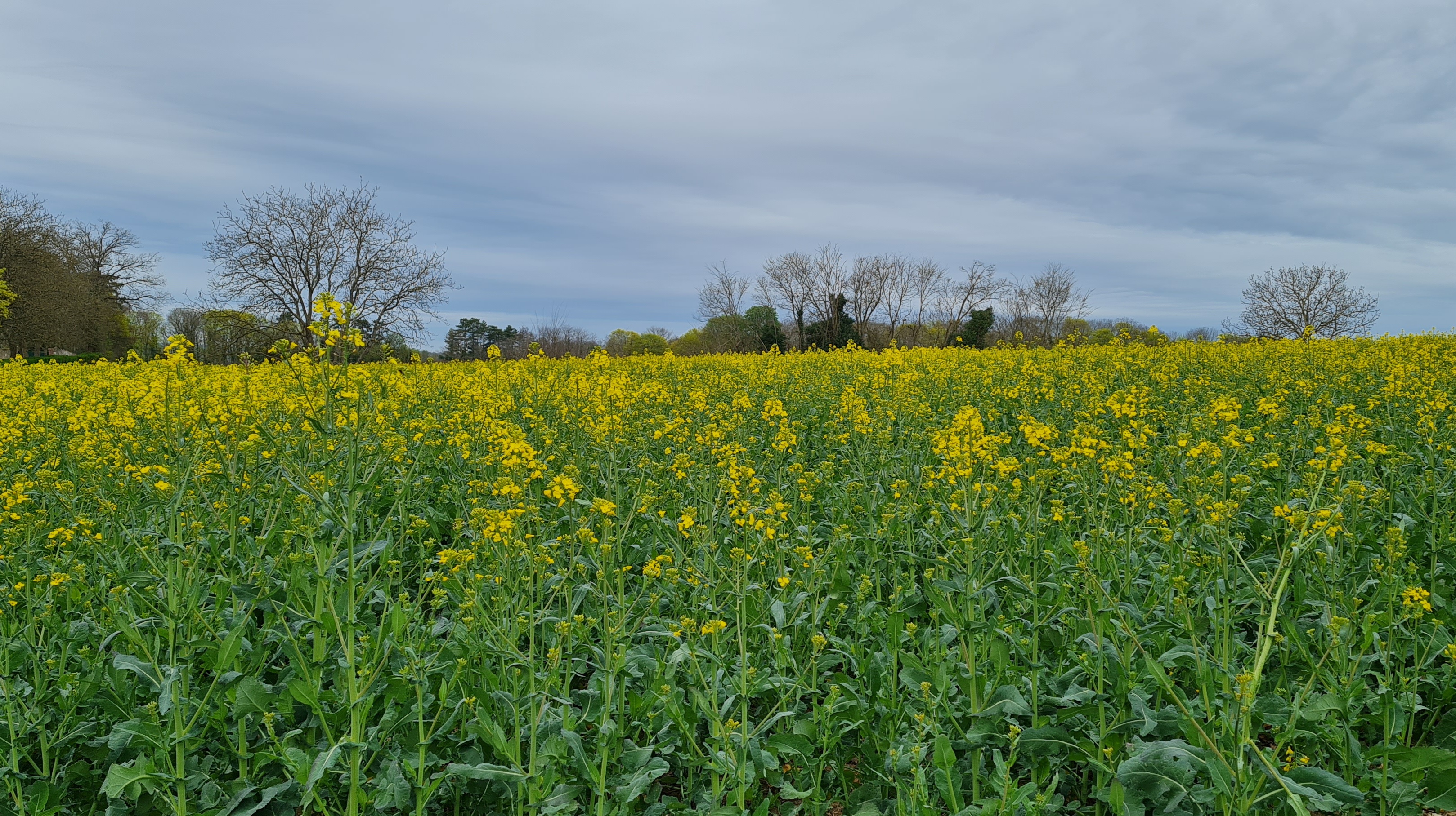 Photo n° 5 de l'avis de C..a fait le 10/04/2023 à 14:43