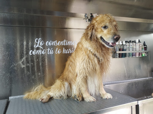 PET SHOWER SPA MOVIL