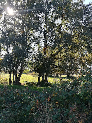 Sala de ventas Quesos Kumey - Río Negro