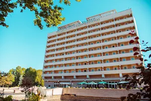 Shodlik Palace Hotel image
