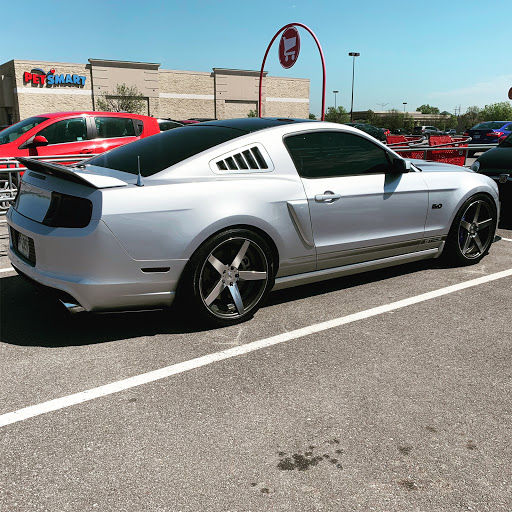 RedTail Detail en Eudora