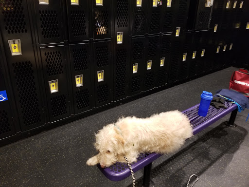 Gym «Planet Fitness», reviews and photos, 308 S University Blvd, Mobile, AL 36609, USA