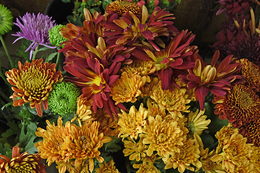 Gift Shop «Avenue Flower Shop», reviews and photos, 10632 S Cicero Ave, Oak Lawn, IL 60453, USA