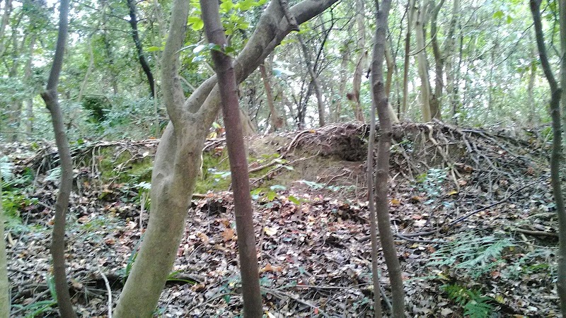 赤坂山城跡