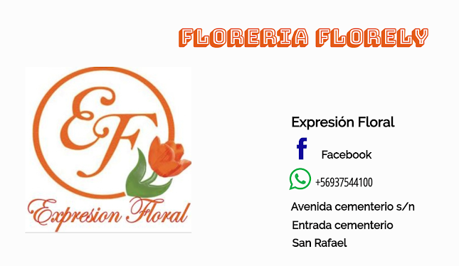 Florely expresion floral - Floristería