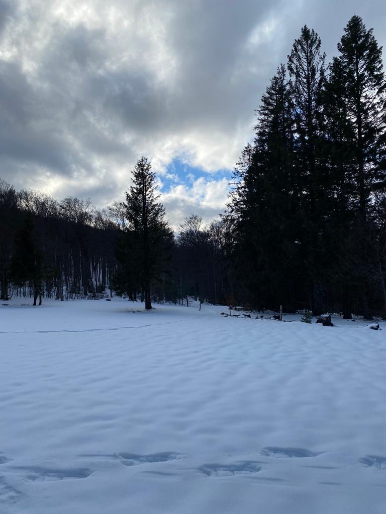 Photo n° 3 de l'avis de Dieynaba.O fait le 11/03/2022 à 14:48