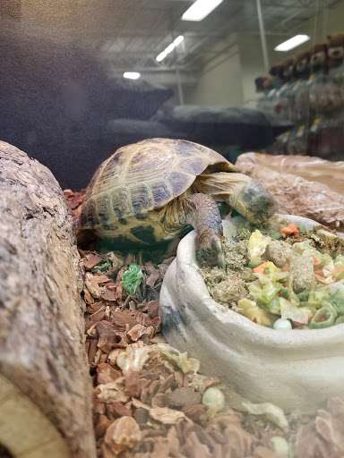 Pet Supply Store «PetSmart», reviews and photos, 7616 Denton Hwy #532, Watauga, TX 76148, USA