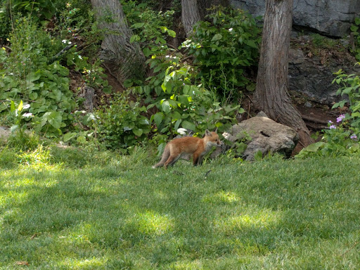 Golf Course «Caverns Country Club Resort», reviews and photos, 910 T.C. Northcott Blvd, Luray, VA 22835, USA