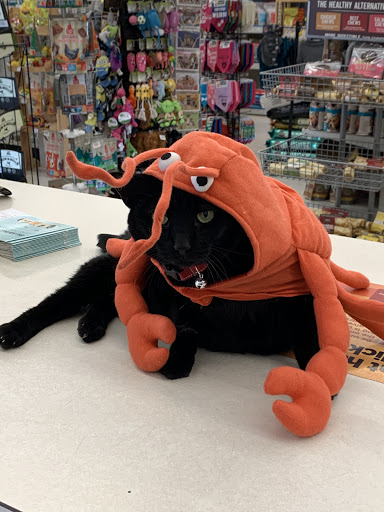 Pet Supply Store «Concord Pet Foods & Supplies», reviews and photos, 2062 Newark Rd, West Grove, PA 19390, USA