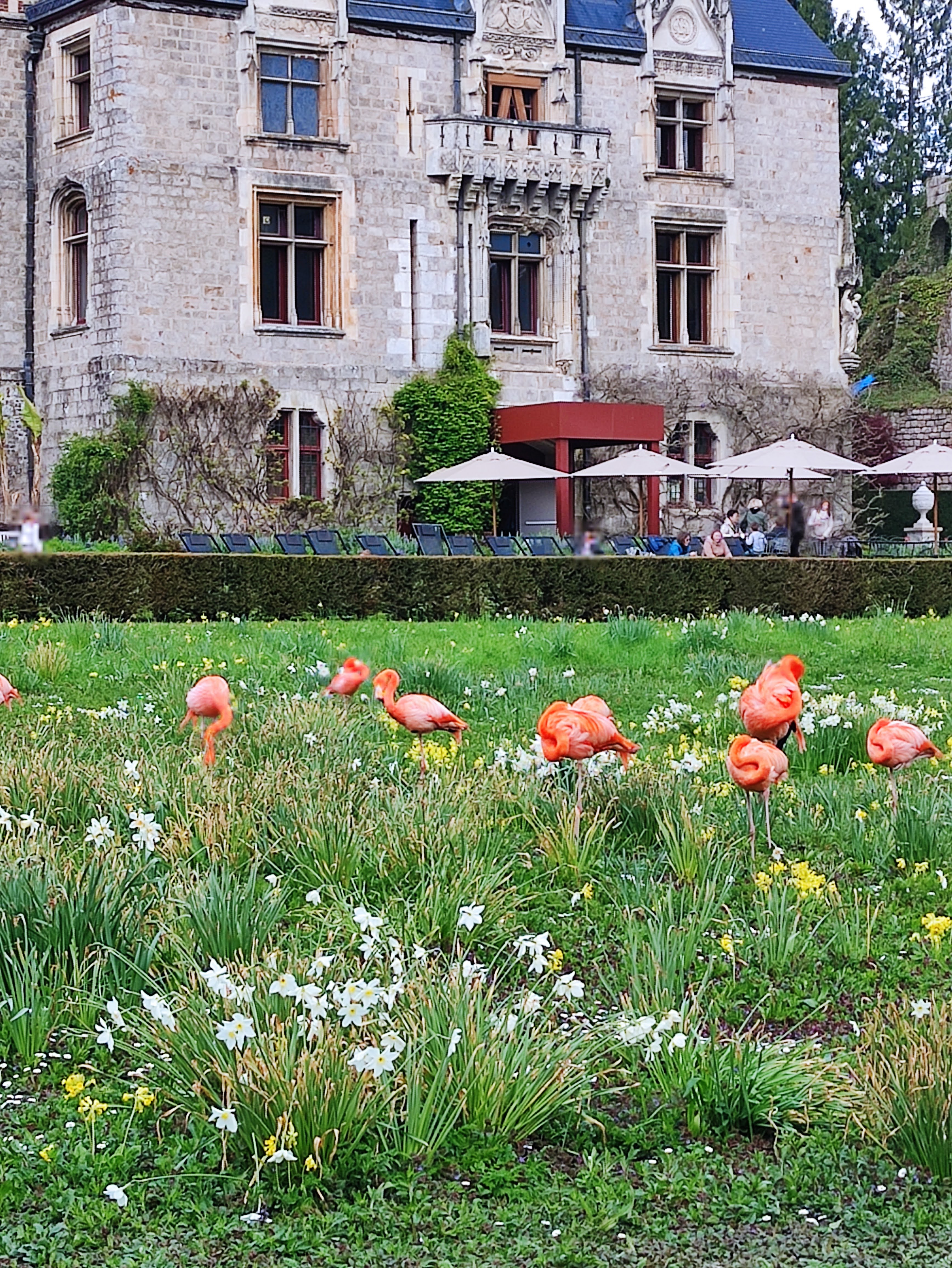 Photo n° 5 de l'avis de mathilde.a fait le 25/04/2023 à 18:21