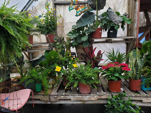 Garden Center «Beachside Gardens & Gifts», reviews and photos, 3725 US-12, Michigan City, IN 46360, USA