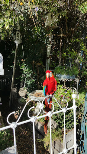 Pet Supply Store «PetSmart», reviews and photos, 33963 Doheny Park Rd, San Juan Capistrano, CA 92675, USA