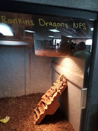 Wildside Pets, 1042 N Higley Rd #105, Mesa, AZ 85205, USA, 