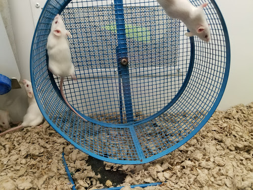 Pet Supply Store «Petco Animal Supplies», reviews and photos, 45205 Worth Ave, California, MD 20619, USA