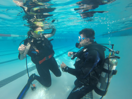 Dive Shop «Orbit Marine Sports Center Inc», reviews and photos, 3273 Fairfield Ave, Bridgeport, CT 06605, USA