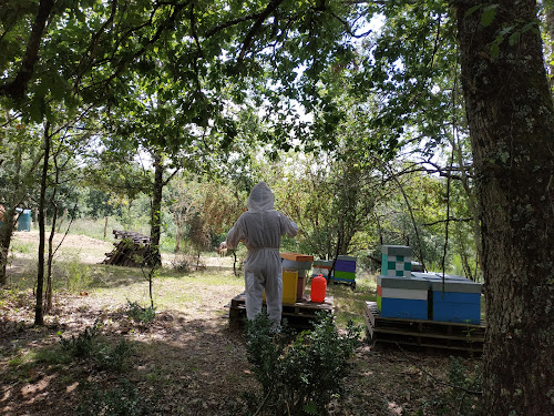 Les abeilles en famille à Lisle-sur-Tarn