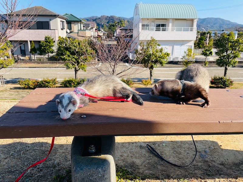 ふれあいけんこう公園