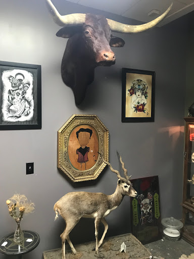 Coffee Shop «The Blind Tiger Cafe - Ybor City - Coffee Shop», reviews and photos, 1901 E 7th Ave, Tampa, FL 33605, USA