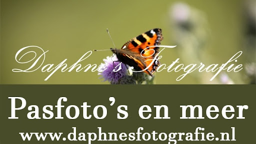 Daphne's Fotografie