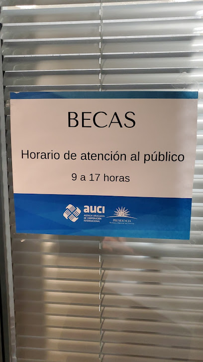 Agencia Uruguaya de Cooperación Internacional
