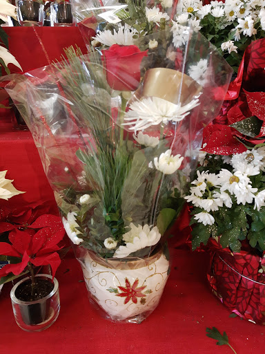 Grocery Store «Stop & Shop», reviews and photos, 11 Glen Ridge Rd, Greenwich, CT 06831, USA