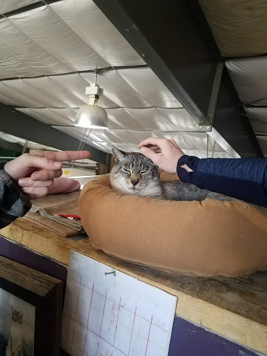 Pet Supply Store «High Paw Pet Supplies», reviews and photos, 503 US-285, Fairplay, CO 80440, USA