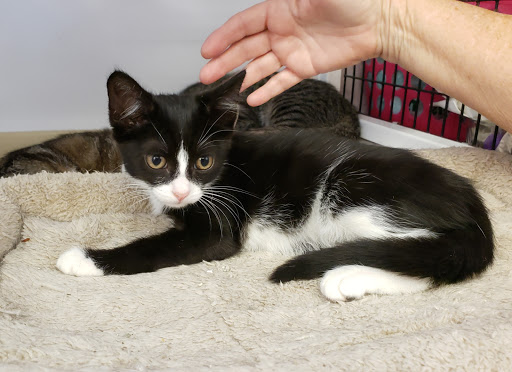 Pet Supply Store «Pet Supplies Plus», reviews and photos, 1258 Northlake Blvd, Lake Park, FL 33403, USA