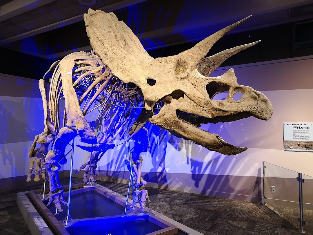 BOSTON MUSEUM OF SCIENCE-MAIN ENTRANCE