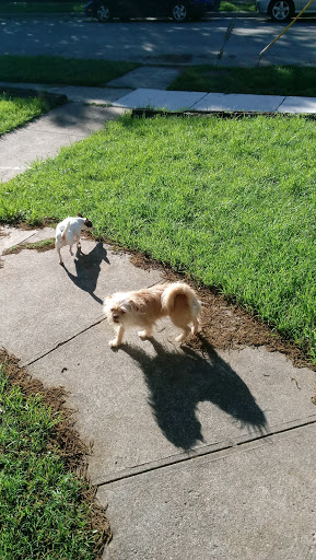 Park «Buckner Park», reviews and photos, 4550 Worth St, Dallas, TX 75246, USA