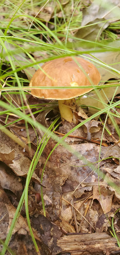 Self-Storage Facility «Middlesex Self Storage», reviews and photos, 5249 Bordentown Ave, Sayreville, NJ 08872, USA