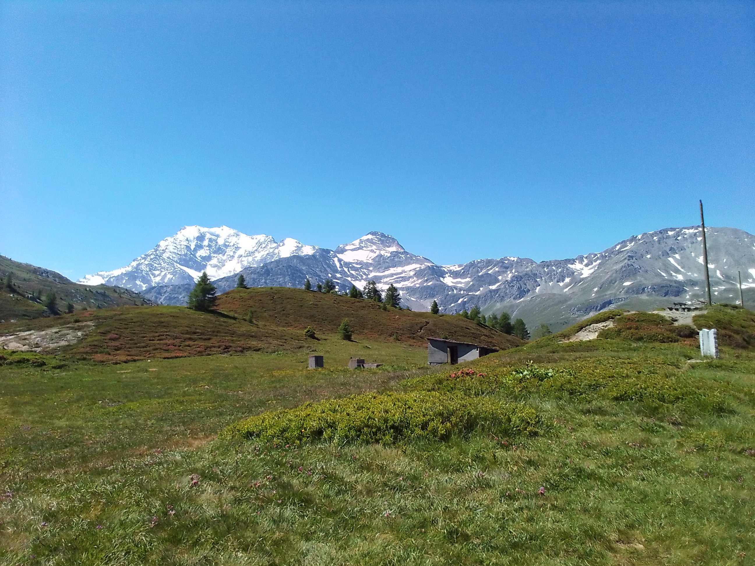 Photo n° 17 de l'avis de Thierry.l fait le 27/06/2023 à 13:44