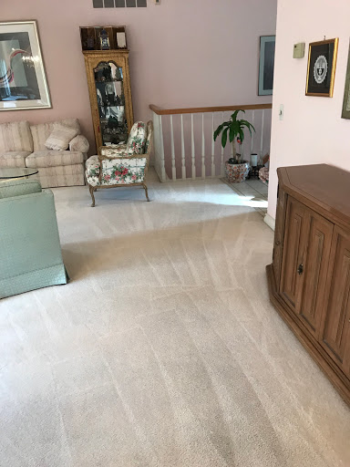 Carpet Cleaning Service «Elite Carpet Cleaning Service», reviews and photos, 29031 Glenarden St, Farmington Hills, MI 48334, USA