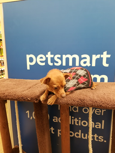 Shopping Mall «Hazleton Park Shopping Center», reviews and photos, 200 Weis Ln, West Hazleton, PA 18202, USA