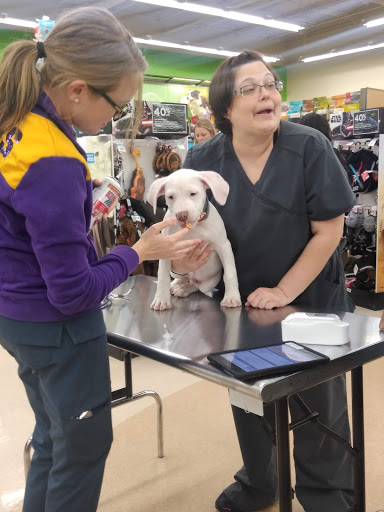 Pet Supply Store «Petco Animal Supplies», reviews and photos, 4665 Garth Rd #400, Baytown, TX 77521, USA