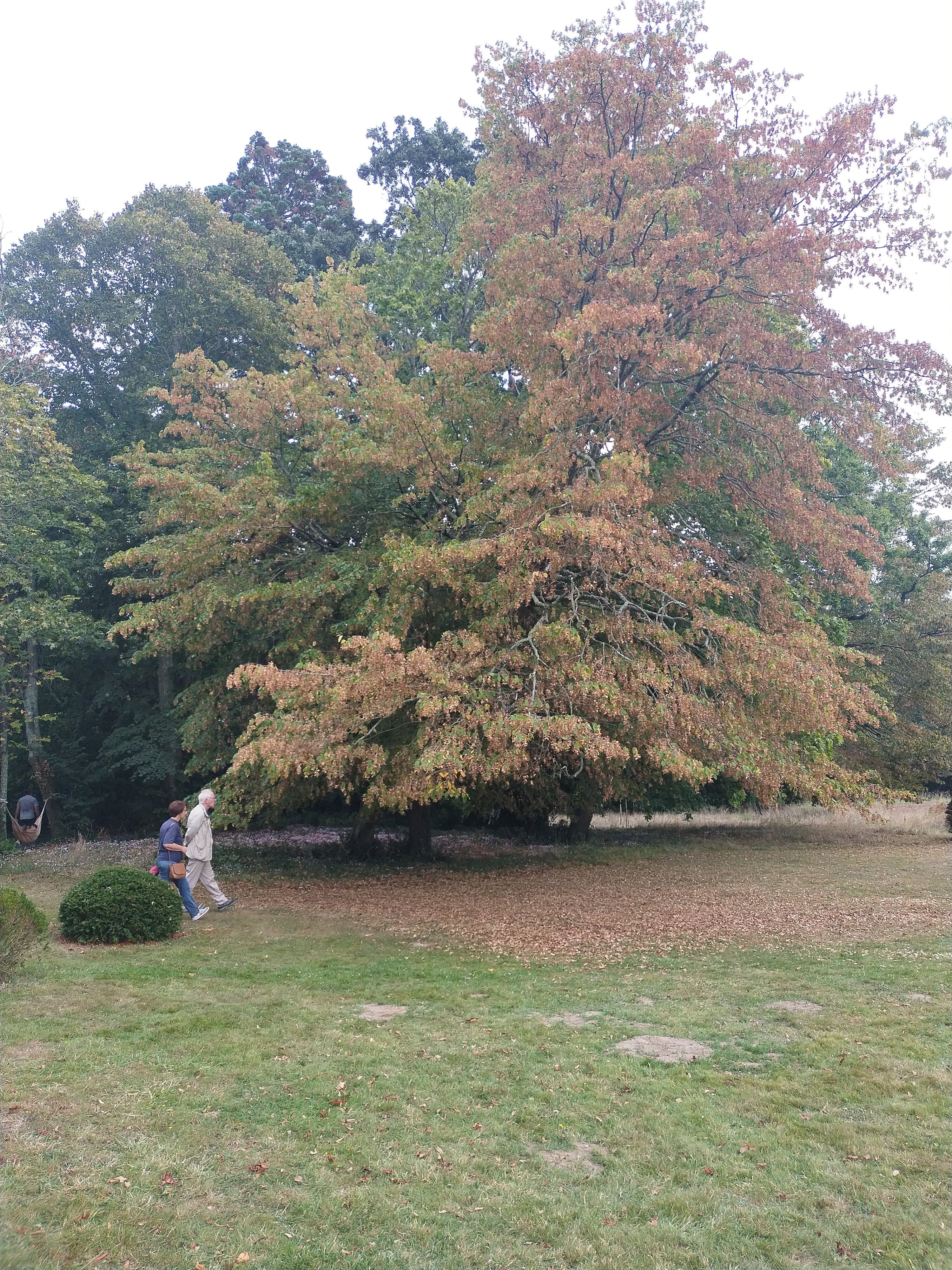 Photo n° 6 de l'avis de Lilian.i fait le 16/09/2023 à 15:22