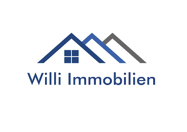 willi-immobilien.ch