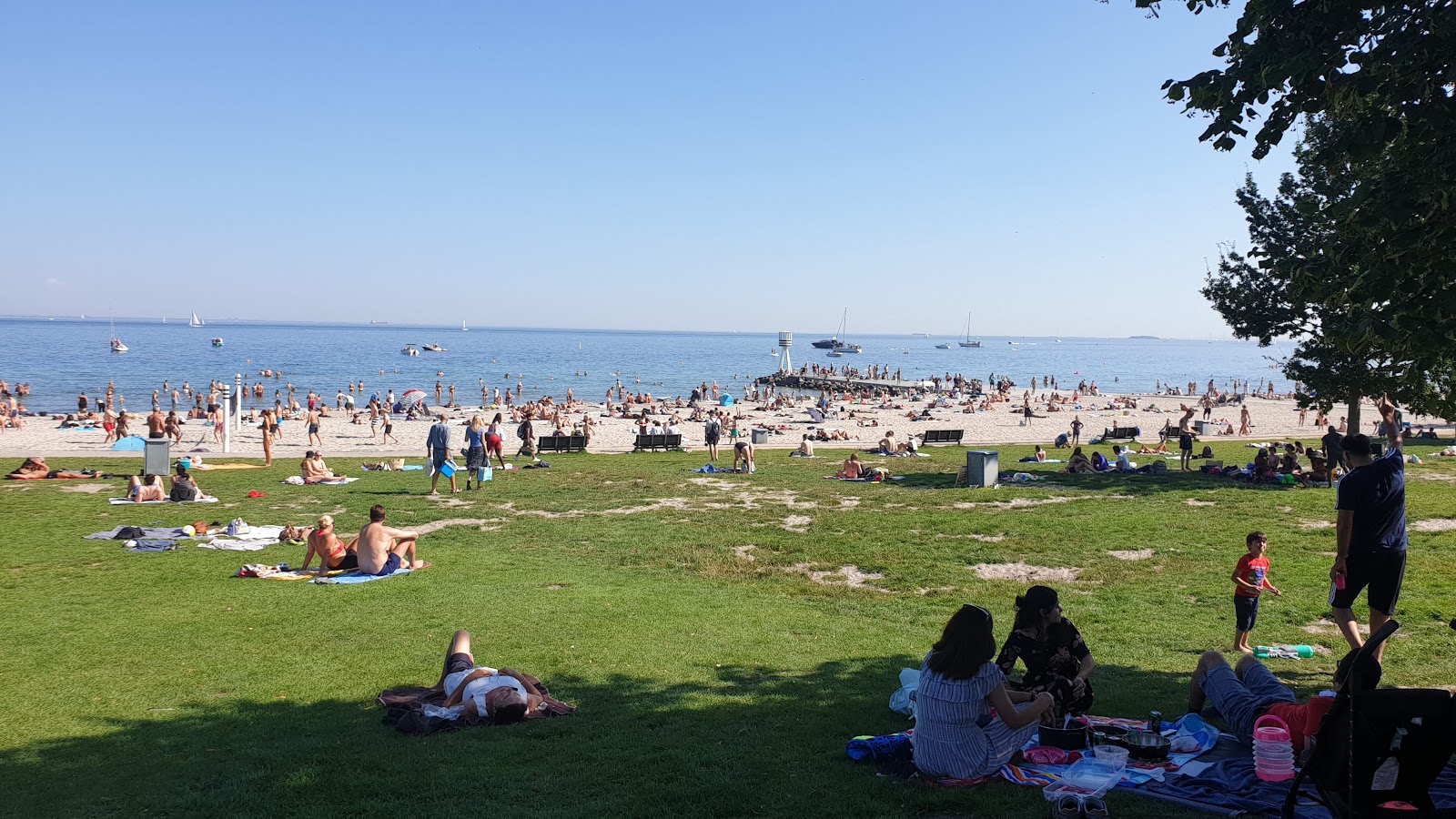 Foto von Bellevue Beach mit türkisfarbenes wasser Oberfläche