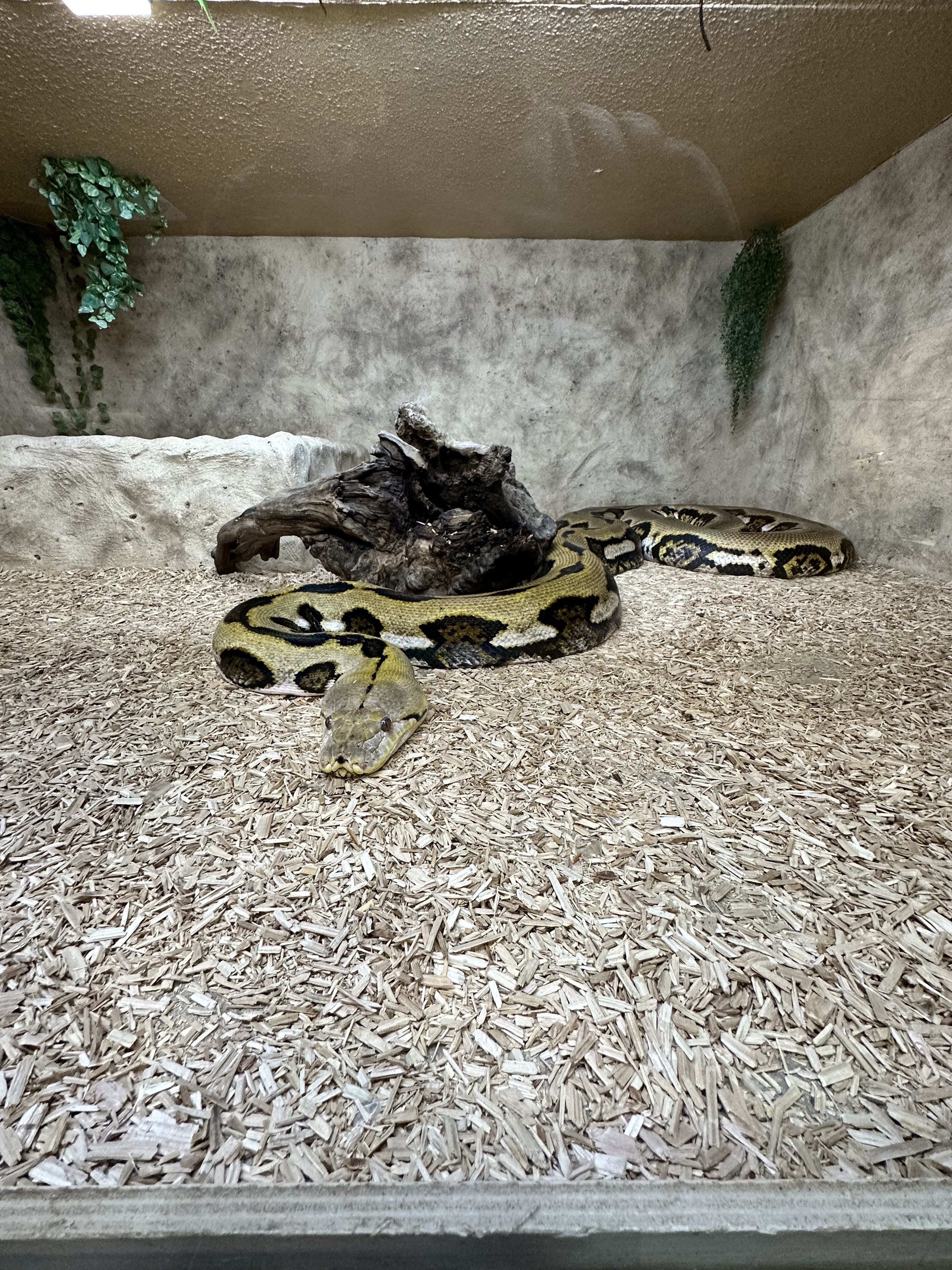 Photo n° 1 de l'avis de Henri.R fait le 29/05/2023 à 18:33