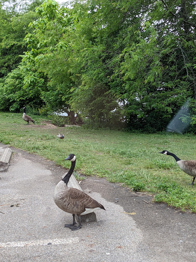 Nature Preserve «GRIGGS RESERVOIR PARK», reviews and photos, 2933 Riverside Dr, Columbus, OH 43221, USA