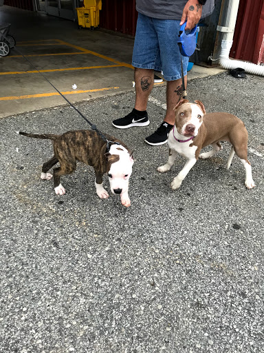 Pet Store «Tri-Creek Kennels», reviews and photos, 5641 US-129, Pendergrass, GA 30567, USA