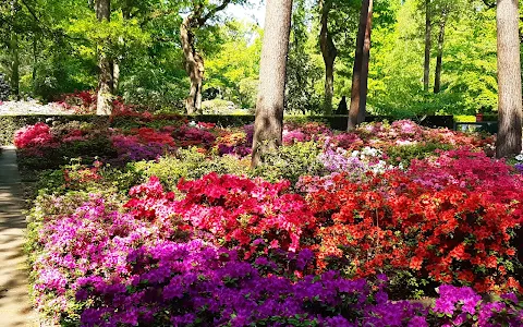 Bremen Botanical Garden image