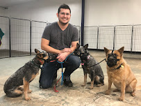 Canine Perspective: Structured Boarding, Daycare, & Training - Photo 5 - Car repair in Chicago, IL, Chicago