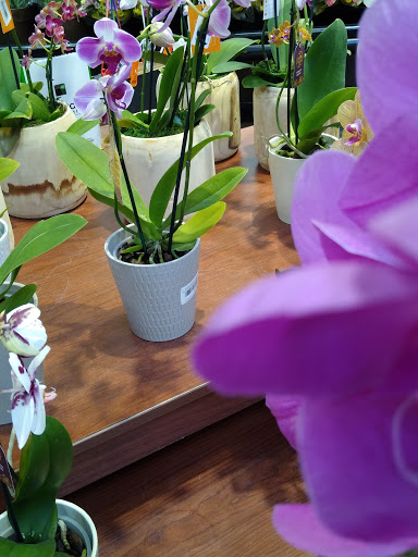 Coffee Shop «Starbucks», reviews and photos, 3240 S Cobb Dr SE, Smyrna, GA 30080, USA