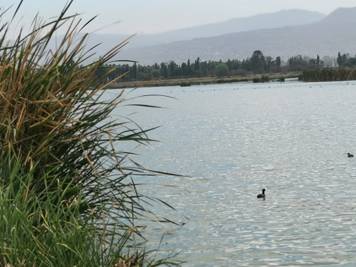 Lagunas De Xico