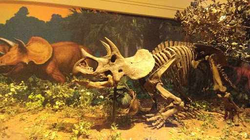 Performing Arts Theater «Carnegie Music Hall», reviews and photos, 4400 Forbes Ave, Pittsburgh, PA 15213, USA