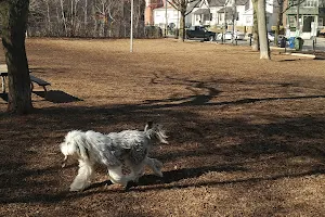 Gerrard Carlaw Parkette Dog Park image