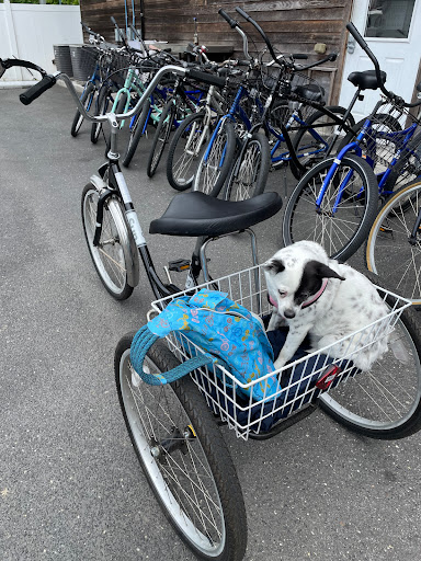 Village Bicycle Shop, 605 Lafayette St, Cape May, NJ 08204, USA, 